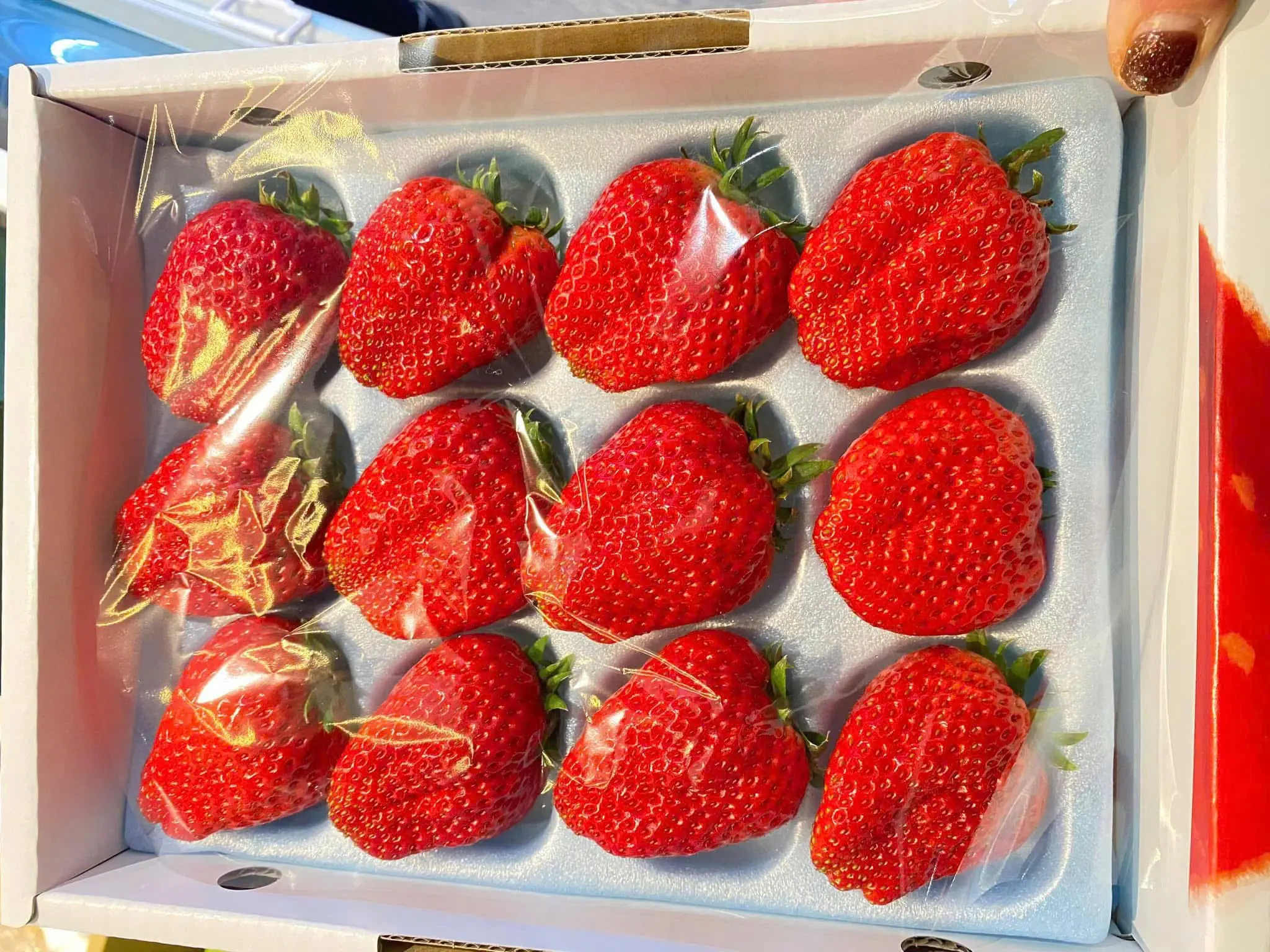 Dâu tây ‘công chúa’ Nhật Bản đắt gấp 10 lần dâu ta vẫn khan hàng